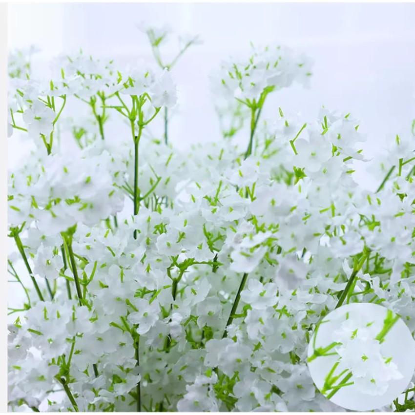 Hoa Gypsophila giả Hoa giả trang trí để bàn phòng khách đẹp H27