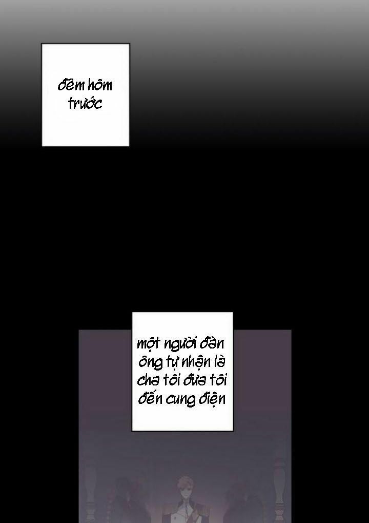 tôi đang nuôi dưỡng một con quái thú chapter 2 5