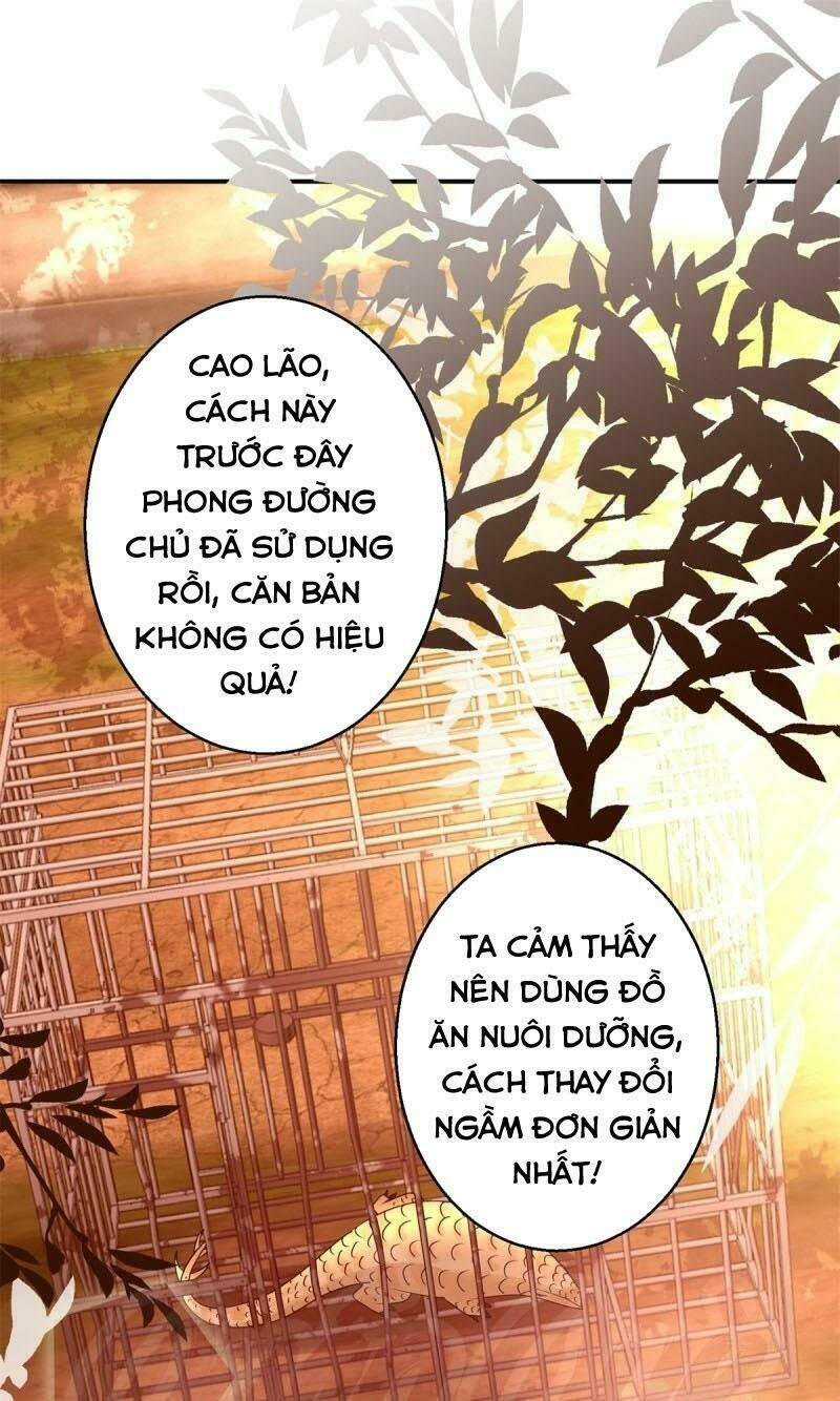 cửu dương đế tôn chapter 154 1