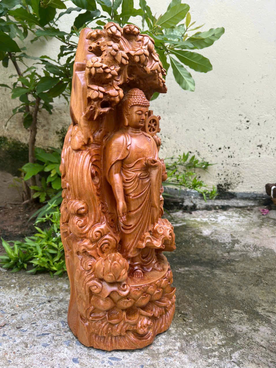 Tượng phật thích ca gỗ bách xanh kt cao 51×19×18cm