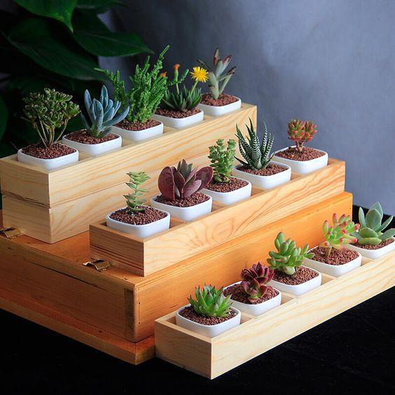 Kệ gỗ đựng đồ xinh xinh để bàn hộp 5 ngăn đựng cây cảnh