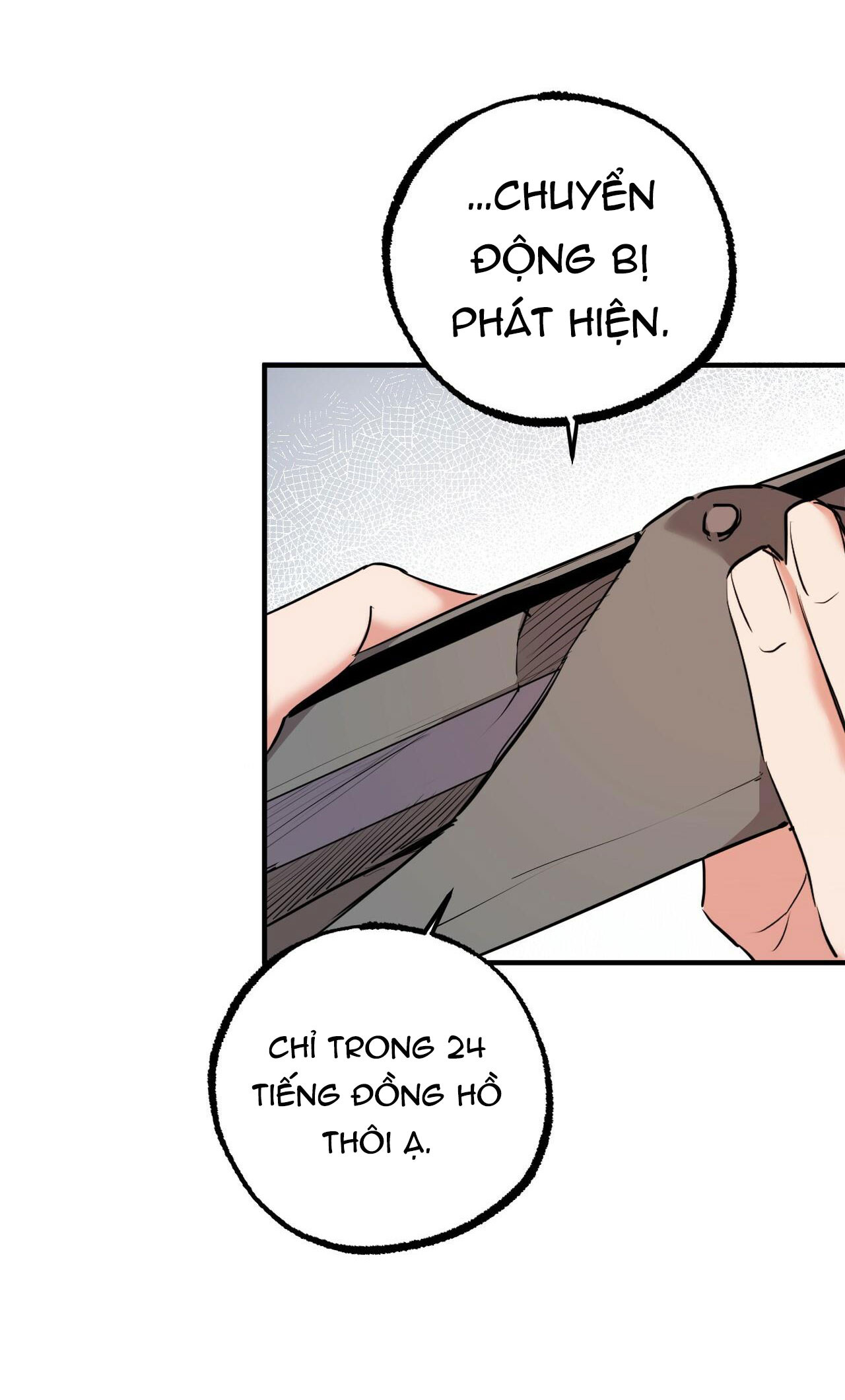 những chú thỏ của hapypy chapter 34 15