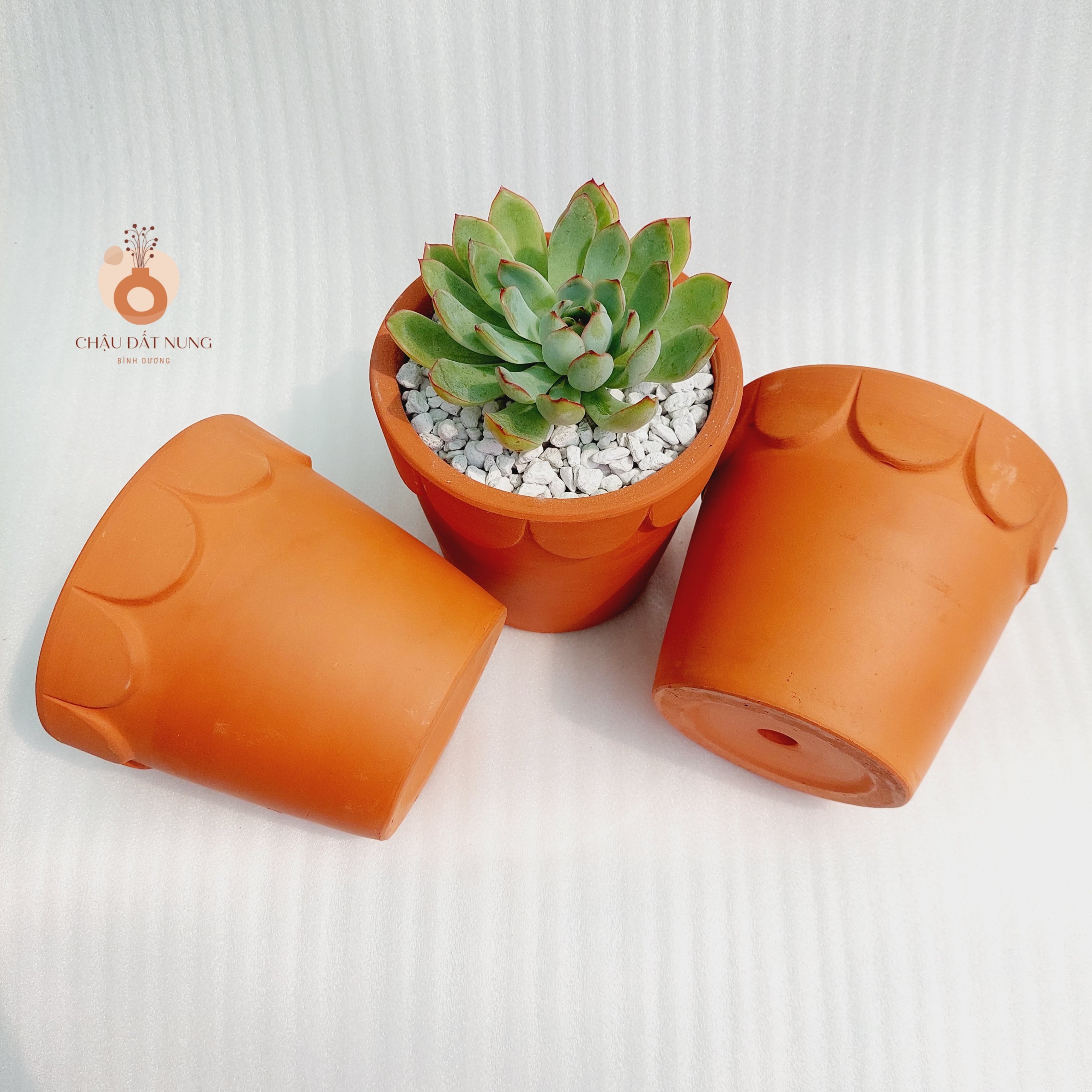 Chậu đất nung - Ly gờ hoa, miệng chậu 12cm, chiều cao 11cm