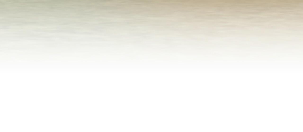 đàn thỏ của habibi chapter 45 269