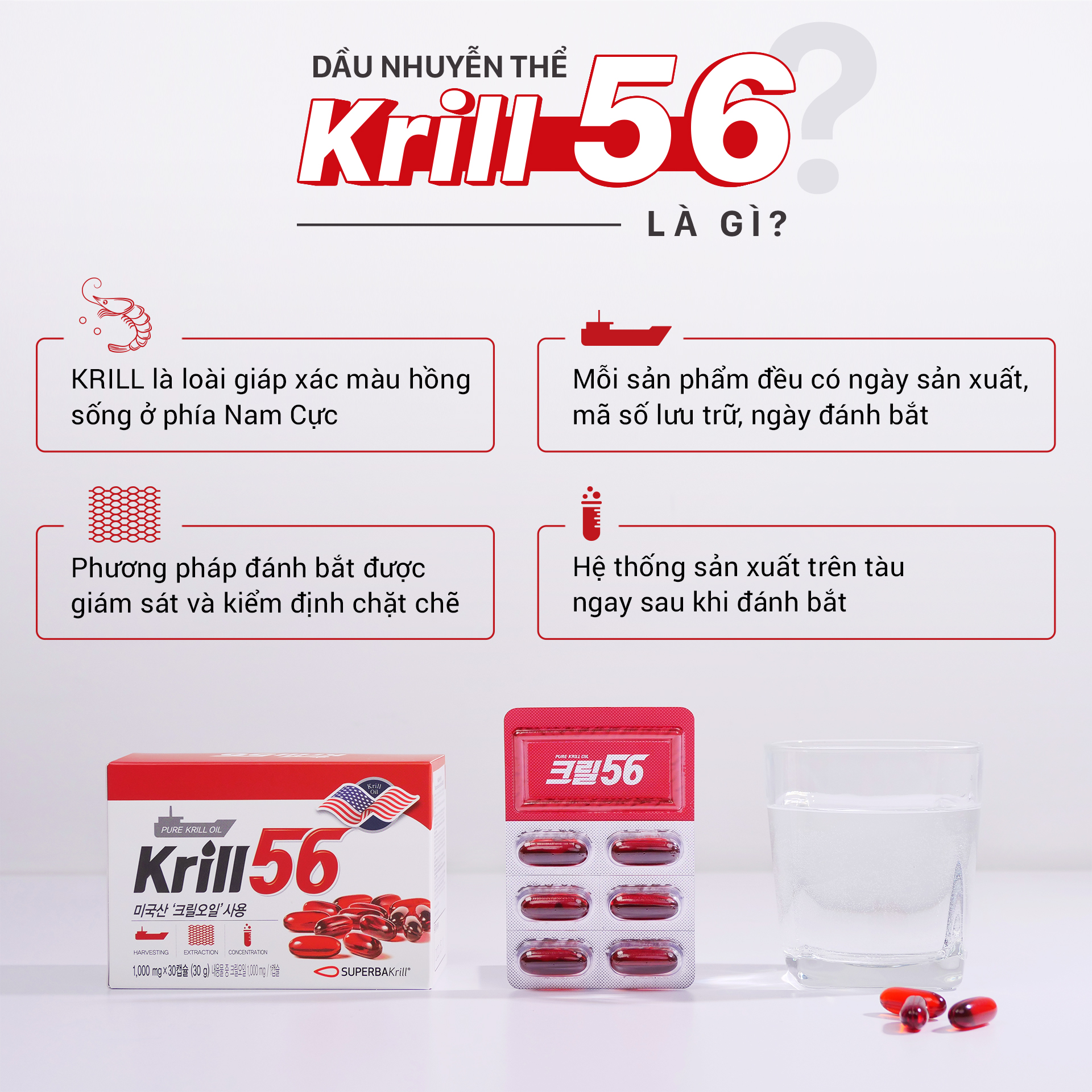 Dầu nhuyễn thể KRILL 56 cao cấp - Red Omega 3 công nghệ mới - liệu trình 2 tháng/ 2 hộp