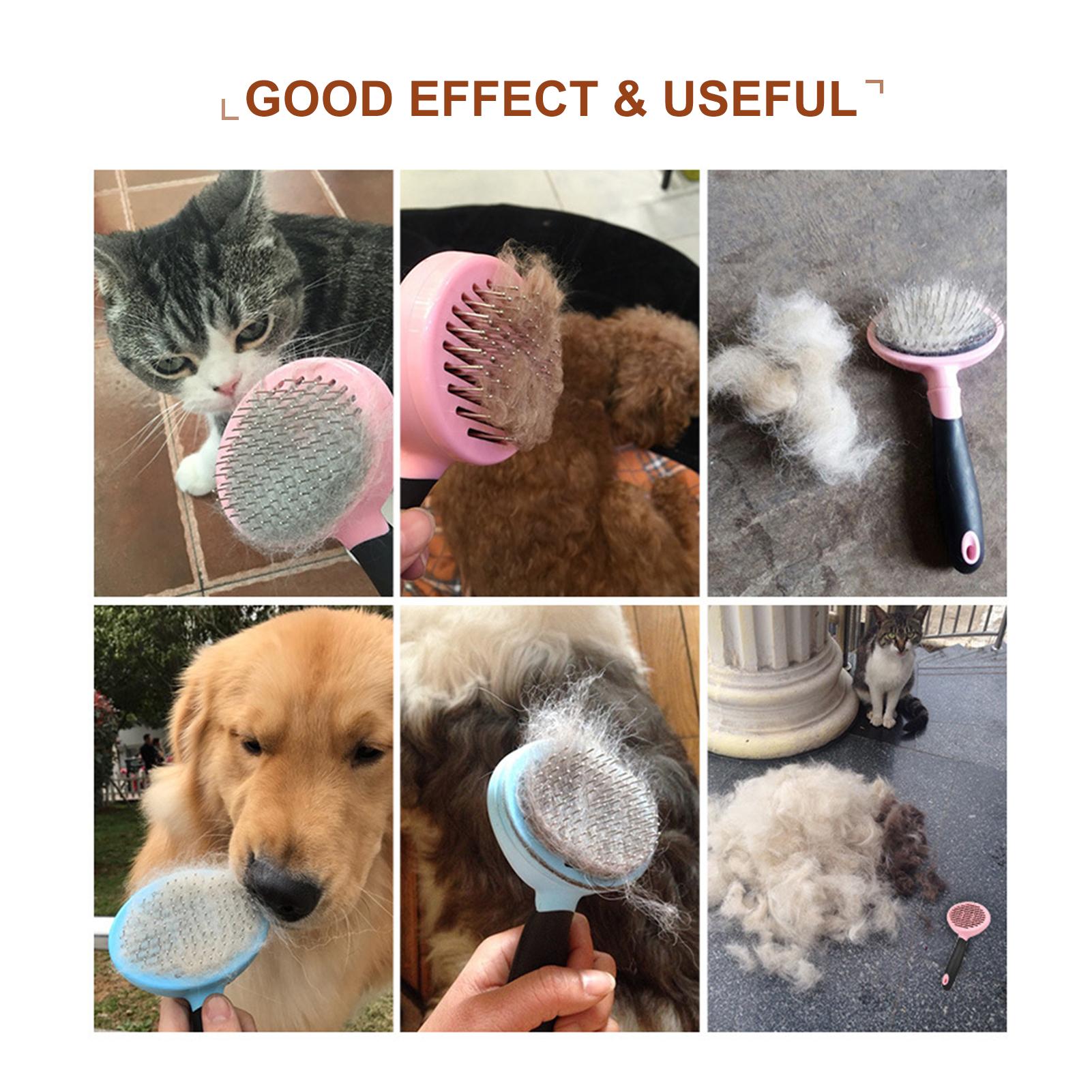 Bàn chải lông thú cưng bằng thép không gỉ cho