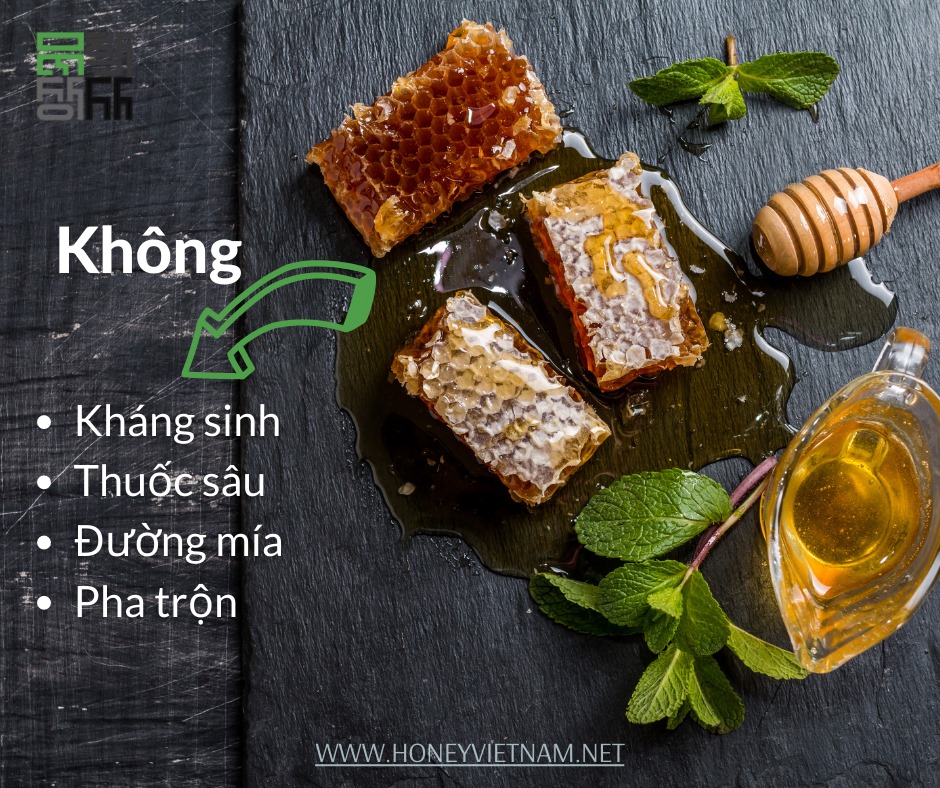 Combo 2 Mật Ong Bánh Tổ Jade Mountain Chứa Sáp Ong Nguyên Vẹn Vị Ngọt Tự Nhiên Chất Lượng Cao 500gr