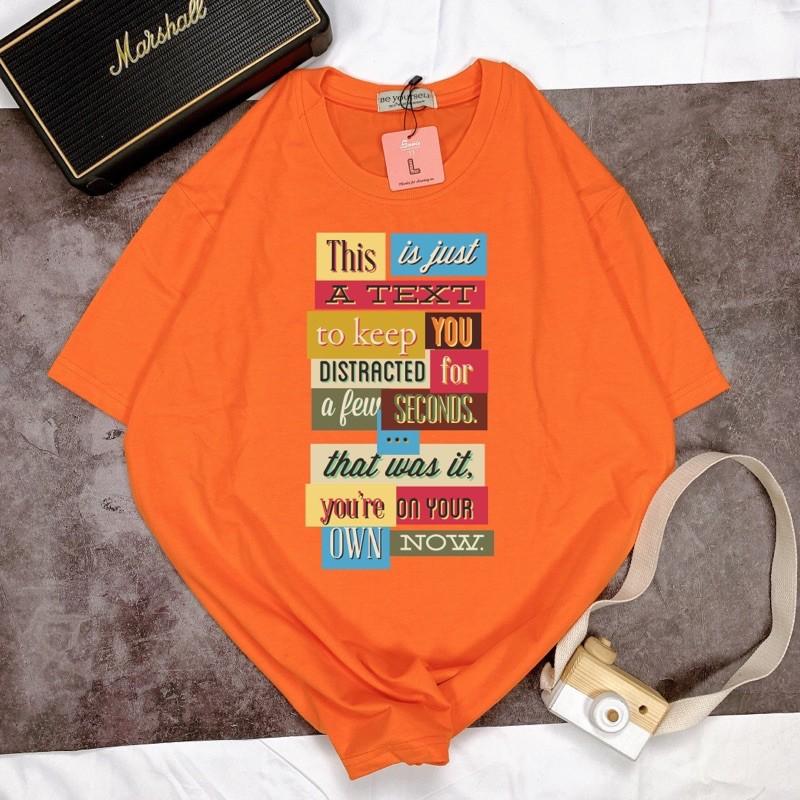 Áo Thun Tay Ngắn UNISEX TEXT Chữ - Hình chụp thật