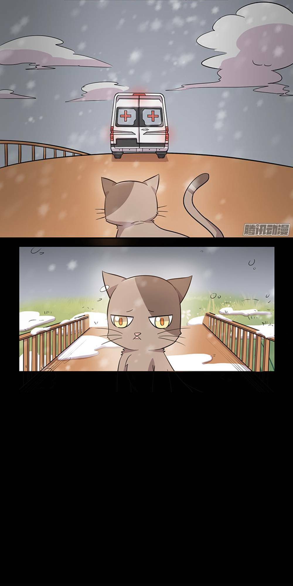 hai chú mèo totem chapter 24 12