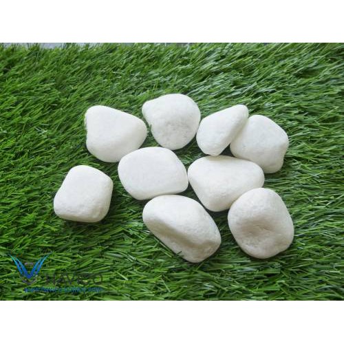 Sỏi trắng trang trí chậu cây sen đá, tiểu cảnh giao siêu nhanh