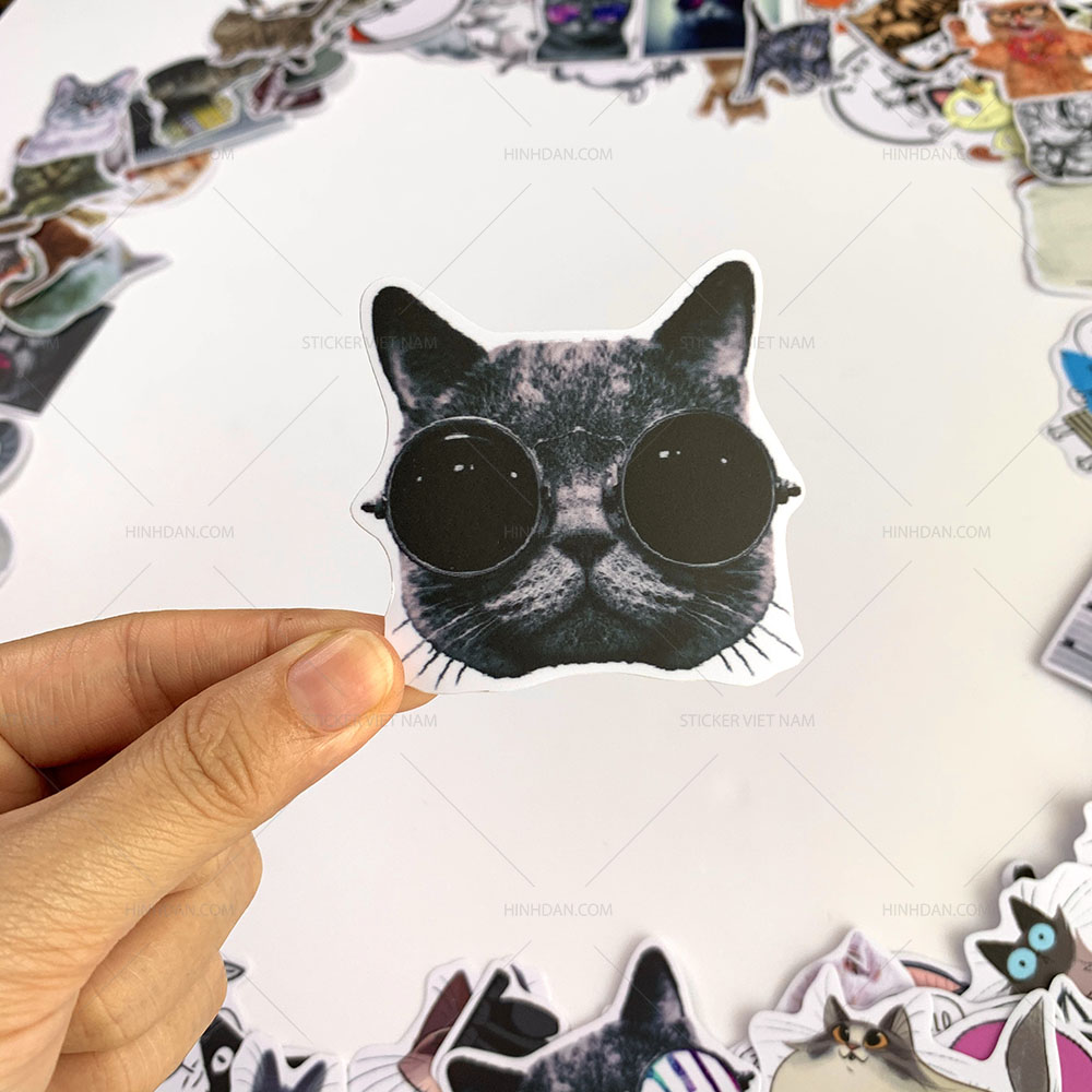 Bộ sticker chủ đề Mèo - Cat - Boss 2019, decal hình dán thú cưng chống nước, trang trí nón bảo hiểm, điện thoại, lap top ...