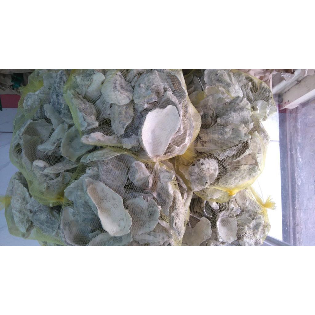 Vỏ hàu ổn định Ph trong hồ cá cảnh Nhật
