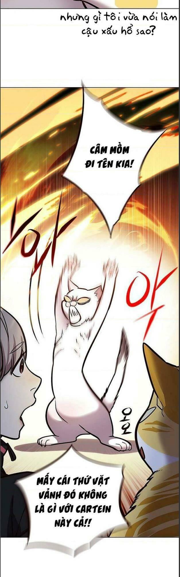 biến thân thành mèo chapter 156 19