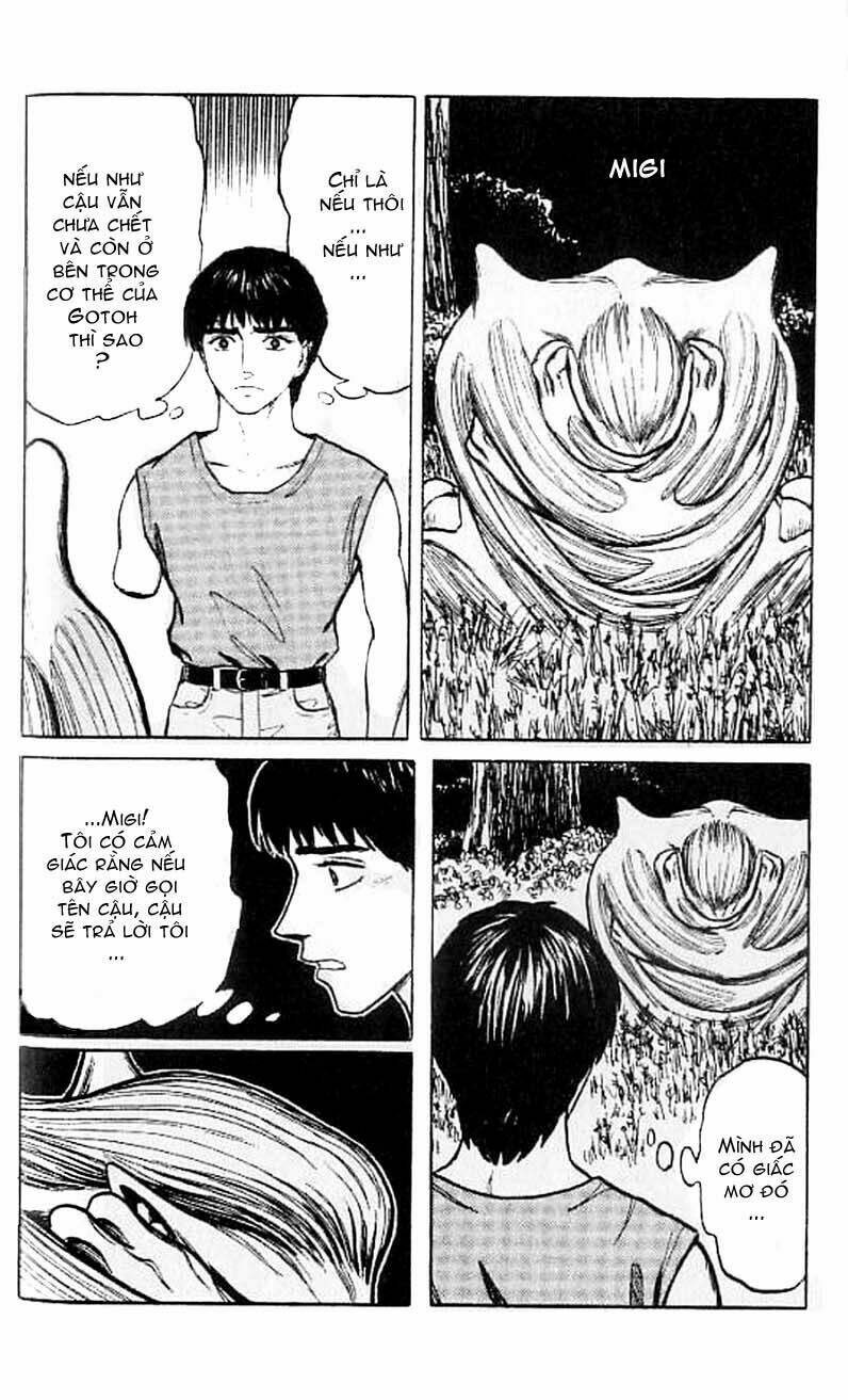 kiseijuu - ký sinh vật chapter 61 9