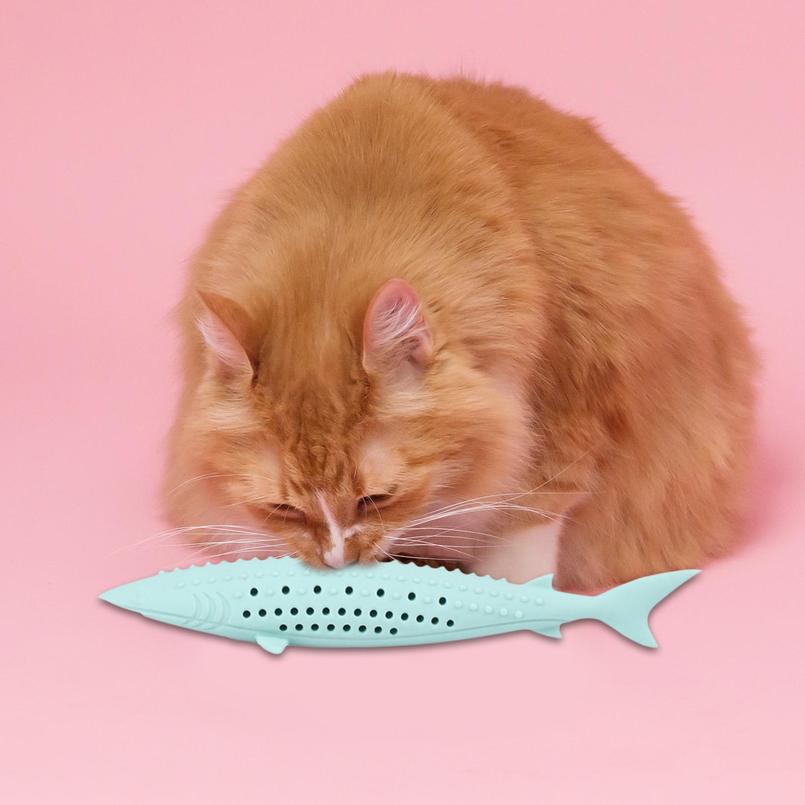 Toys Interactive Fish Teaser   Chewing Toy