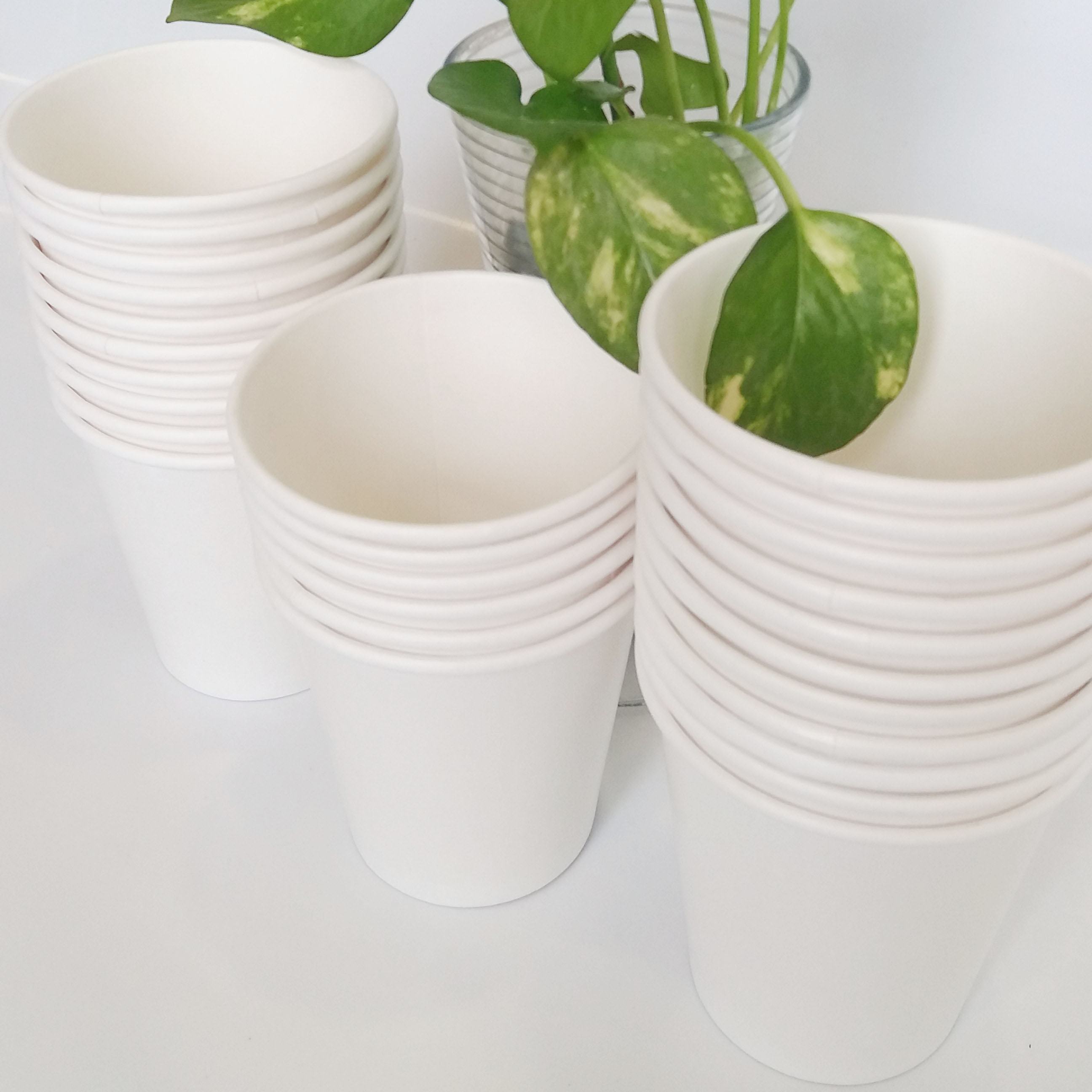 Ly giấy 16oz~472ml - Lốc 50 ly giấy trơn