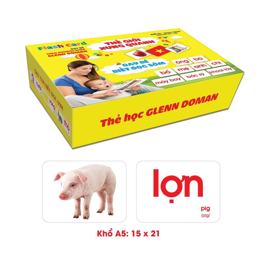 Bộ Thẻ Học Flashcard Song Ngữ chuẩn phương pháp GLENN DOMAN Loại To 15 x 21 cm