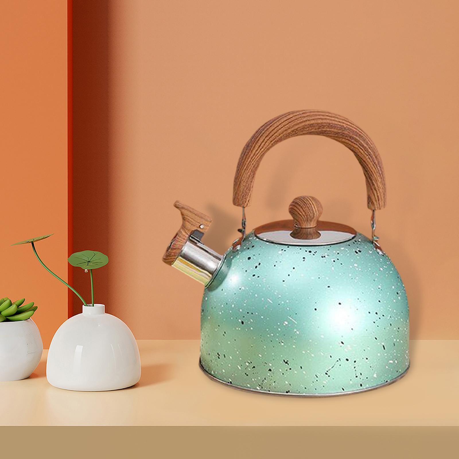 3L Tea Kettle Stovetop Whistling Stainless Steel Green