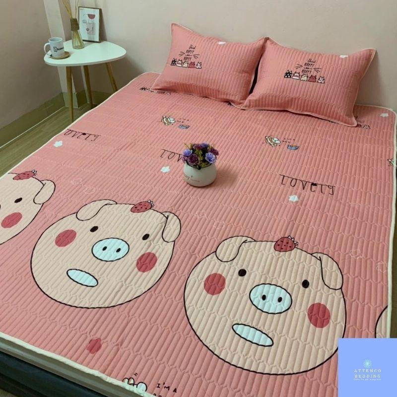 Chiếu Đũi điều hòa ️FreeShip️ Chiếu Cotton Đũi Nhật mát mẻ có đủ màu sắc size rộng(1m2;1m6;1m8;2m2) dài 2m