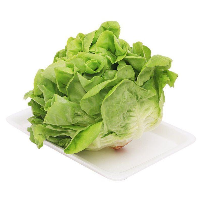 Xà lách mỡ Đà Lạt 500g – 2039910000006