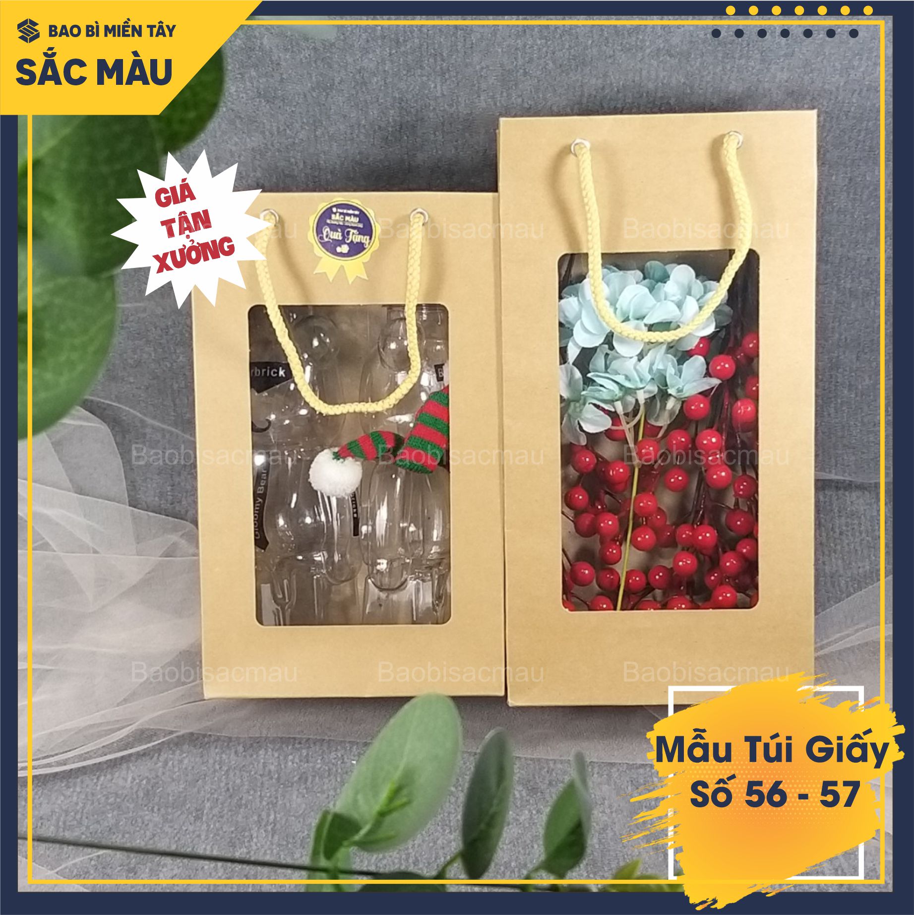 5 Túi giấy mặt kiếng đựng quà biếu tặng, trái cây, chai mật ong, mật nho, hoa sáp, đồ thực phẩm...Túi giấy số 56 - 57