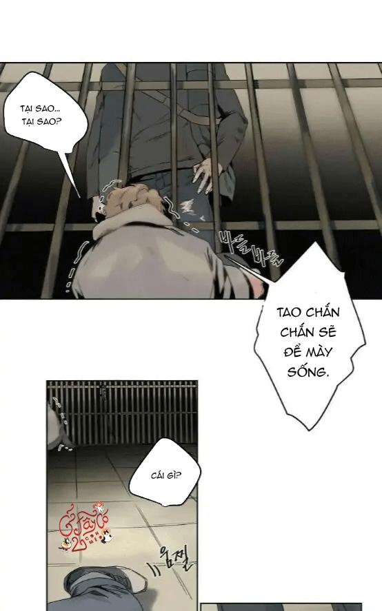 ánh nhìn của quạ chapter 6 26