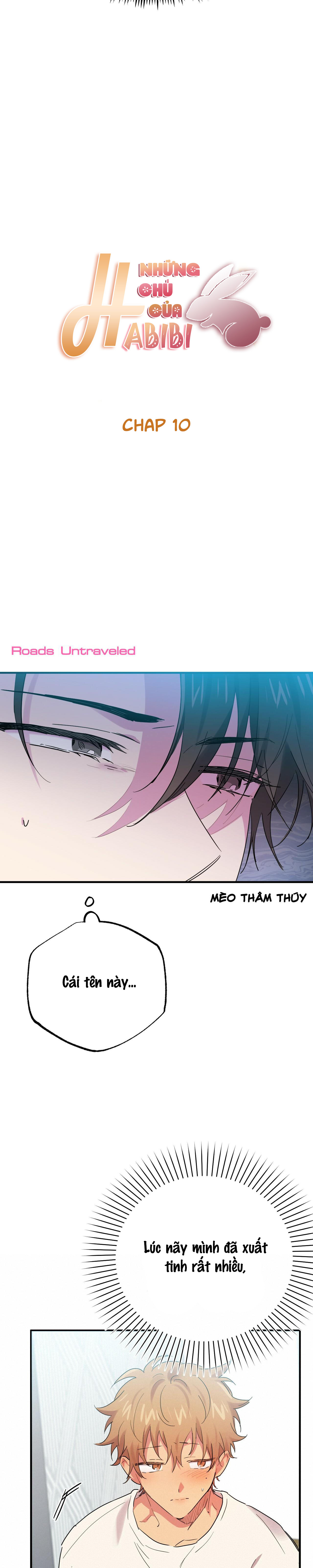 đàn thỏ của habibi chapter 10 9