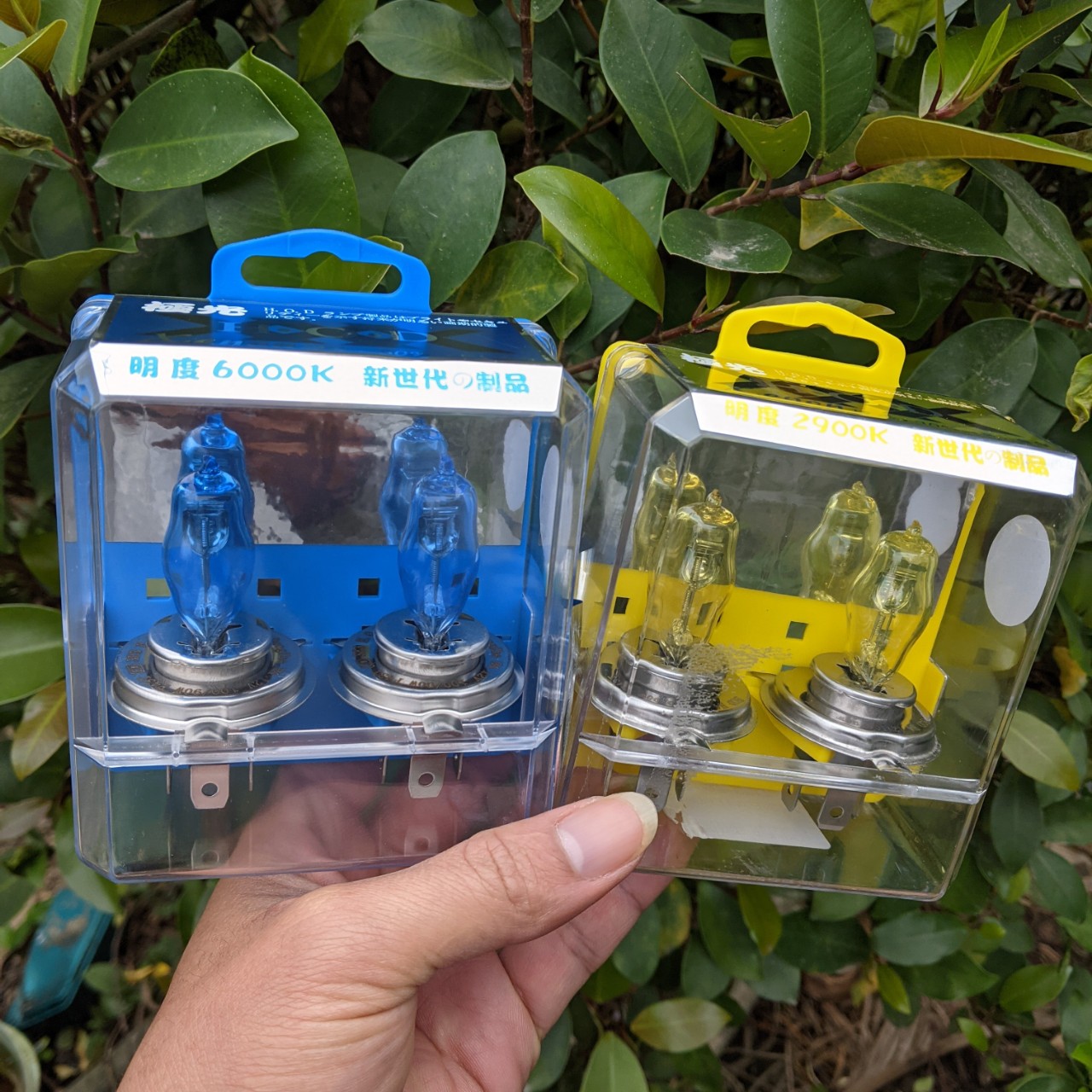 Set bộ 2 bóng đèn pha Xenon ô tô xe máy siêu sáng H4 100W HOD 6000K siêu bền, phụ kiện đồ chơi xe hơi