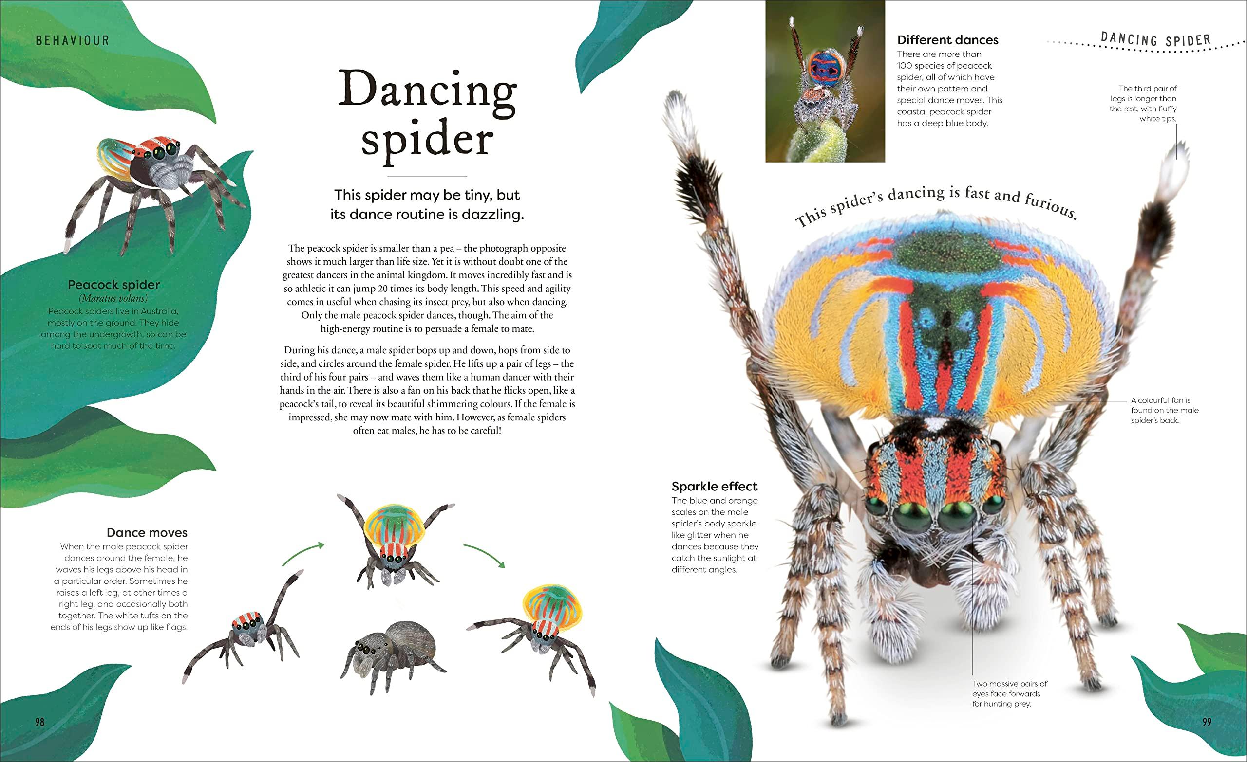 Sách ngoại văn: Weird And Wonderful Nature -Tales Of More Than 100 Unique Animals, Plants, And Phenomena