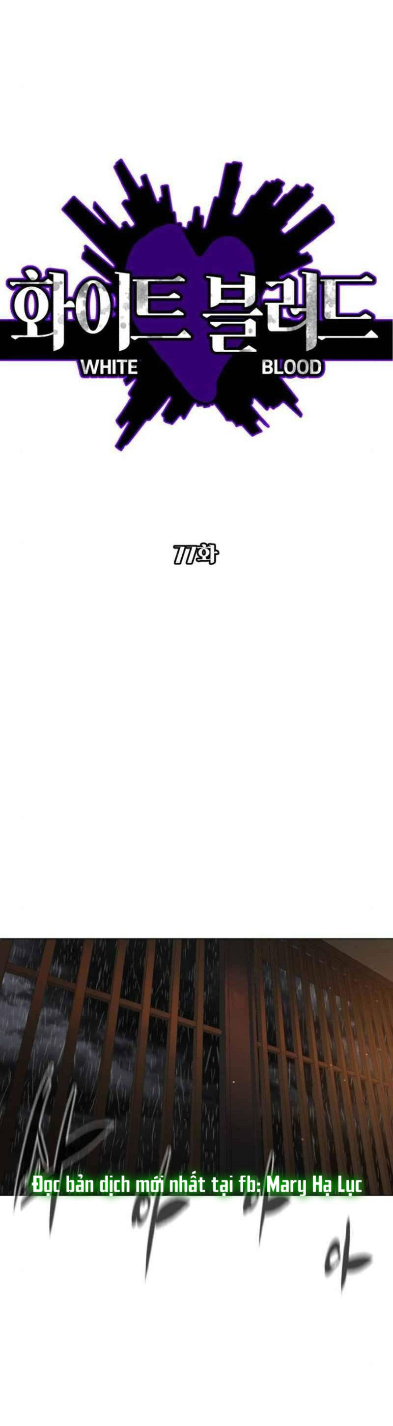 bạch huyết - white blood chapter 77 12