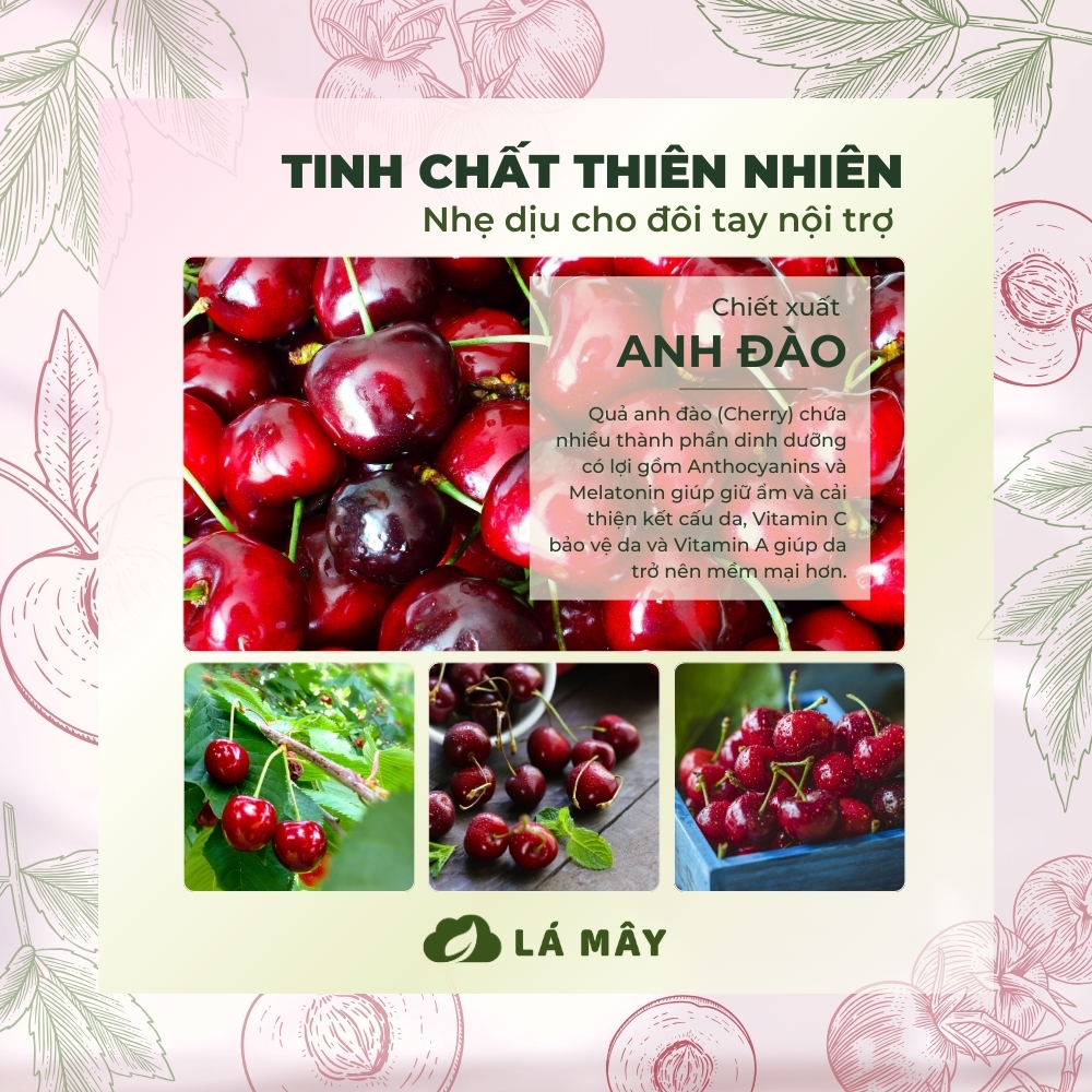 NƯỚC RỬA CHÉN BÁT (KHÔNG ĐẬM ĐẶC) TÍA TÔ &amp; ANH ĐÀO LÁ MÂY 500 mL