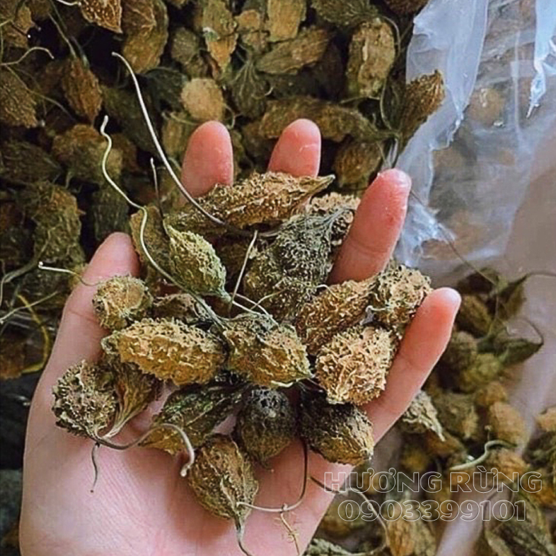 Khổ qua rừng 1kg nguyên trái sấy khô, mướp đắng rừng, loại tuyển chọn chuẩn rừng nguyên chất