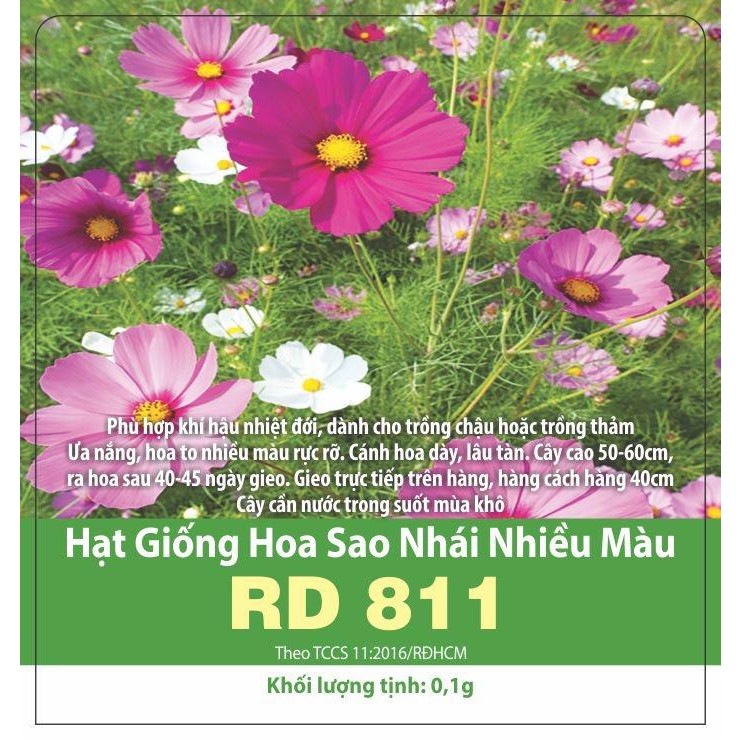 Hạt Giống Hoa Sao Nhái Nhiều Màu Rd 811