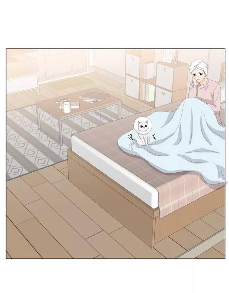 idol và sếp, em yêu ai? chapter 22 28