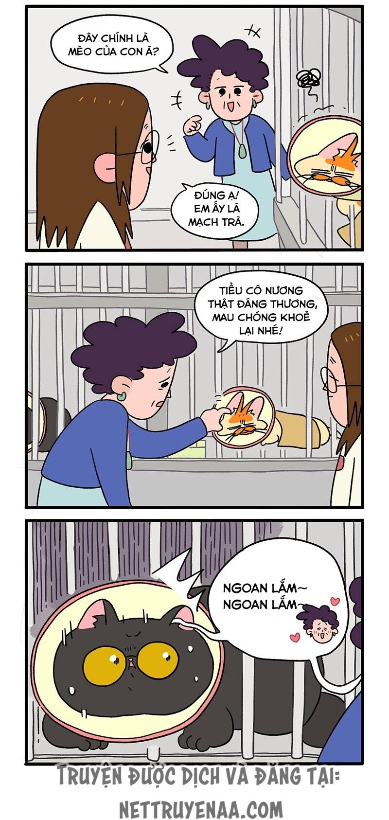 a mãn và mạch trà chapter 18.1 2