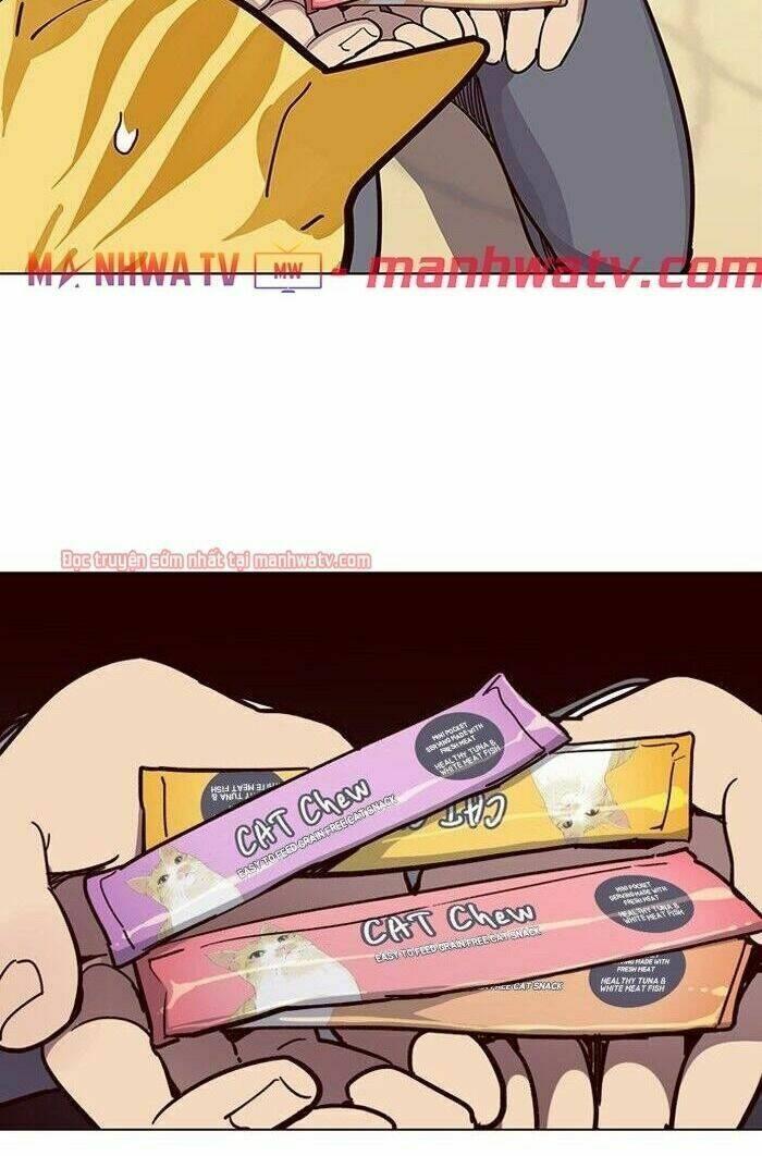biến thân thành mèo chapter 49 92