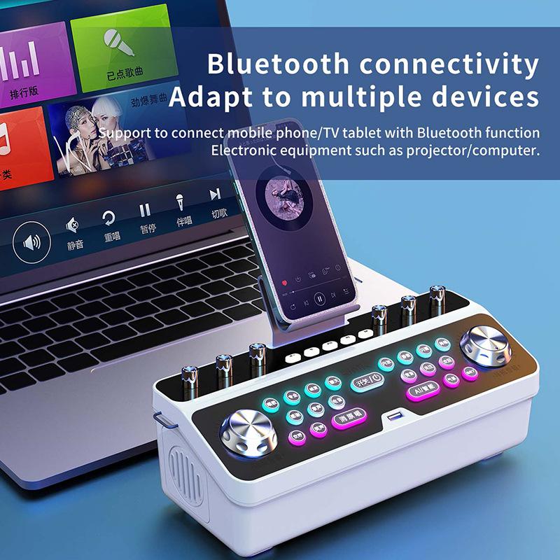 Thẻ âm thanh di động Bluetooth Loa ngoài trời Karaoke Karaoke Mic Audio không dây điện thoại di động trực tiếp Card âm thanh tất cả trong một Color: Q8 With mic 2