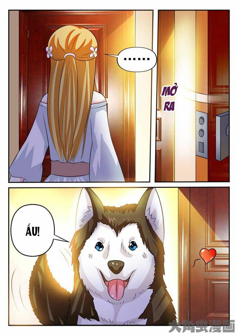 mau lấy con mèo đó ra chapter 8 9