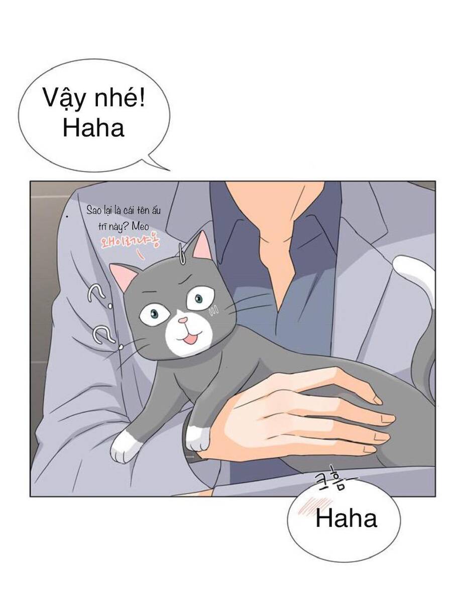 idol và sếp, em yêu ai? chapter 27 12