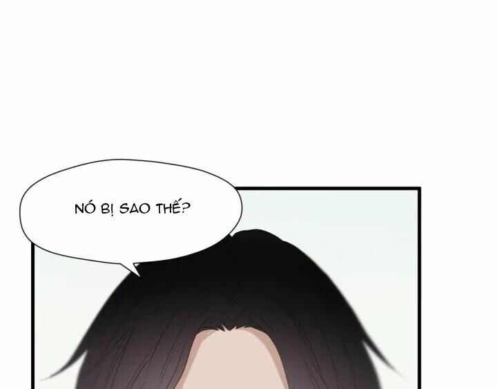 lượm được một tiểu hồ ly phần 3 chapter 81 2