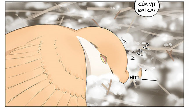 sẻ chiếu mới và nhạn phong sương chapter 5 14