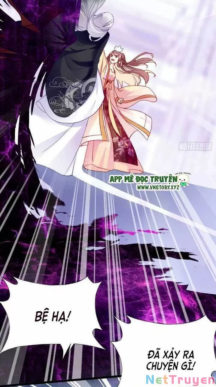 lại bị bệnh chiều chuộng quấn lấy chapter 10 39