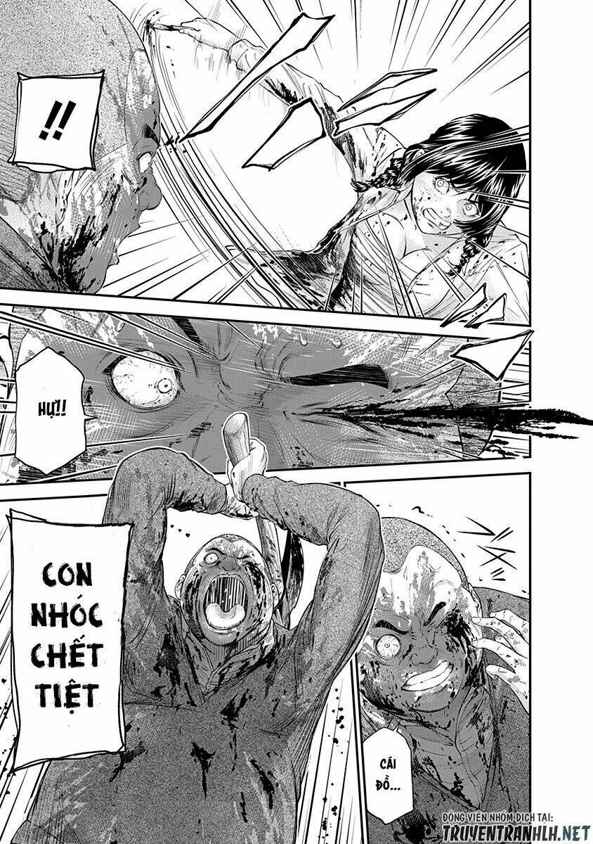 signal 100 chapter 17 9