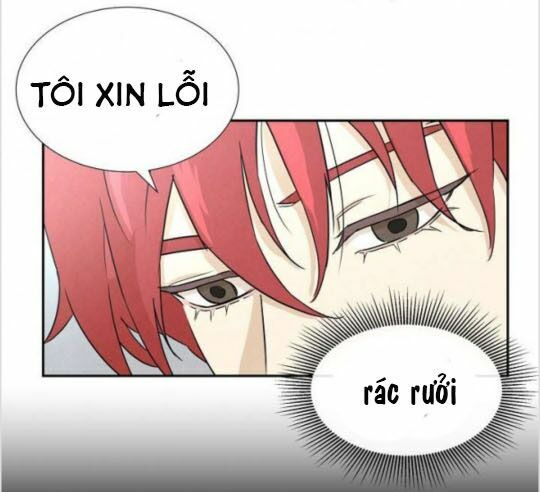 return survival chapter 1 29