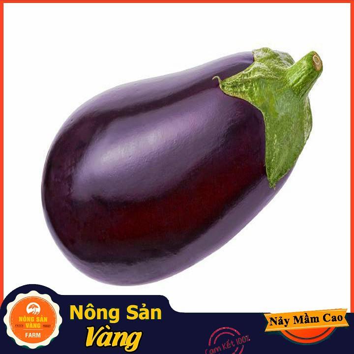 Hạt giống Cà Tím Quả Lê