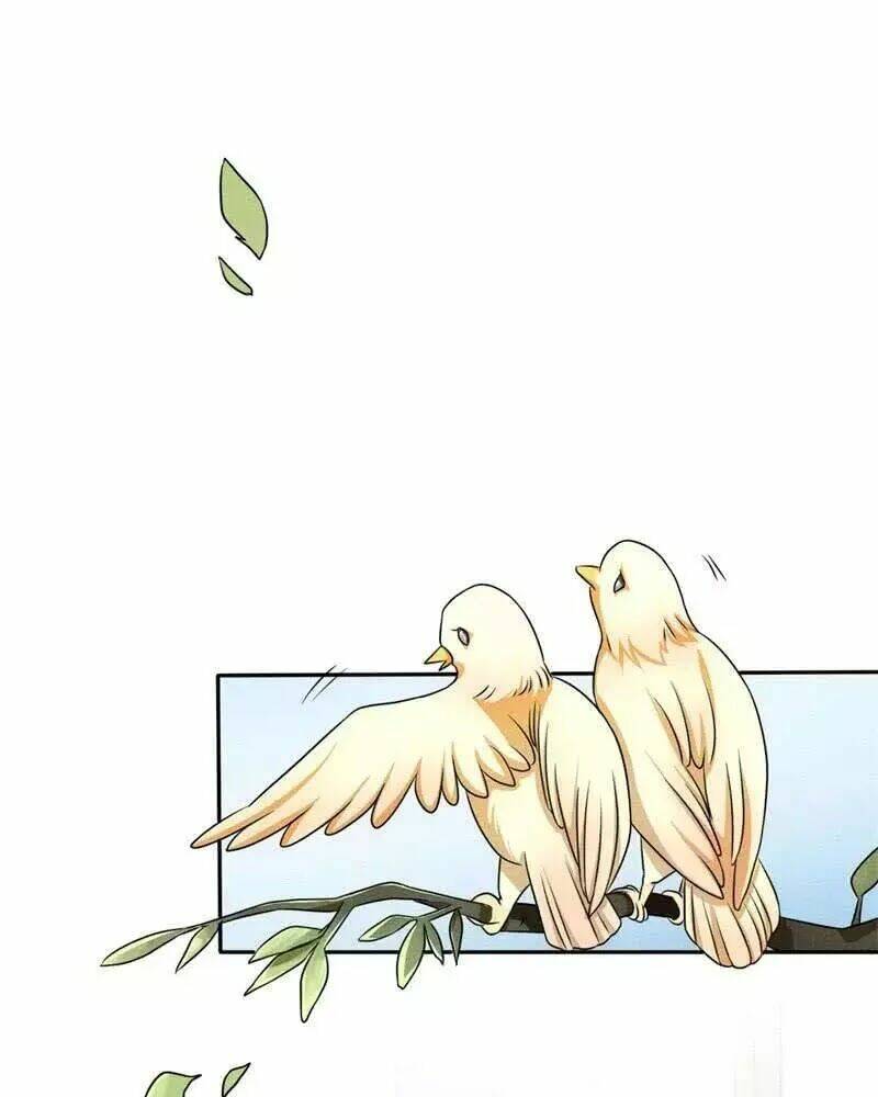 hoàng tử phu quân, ta nuôi ngươi a! chapter 6 33