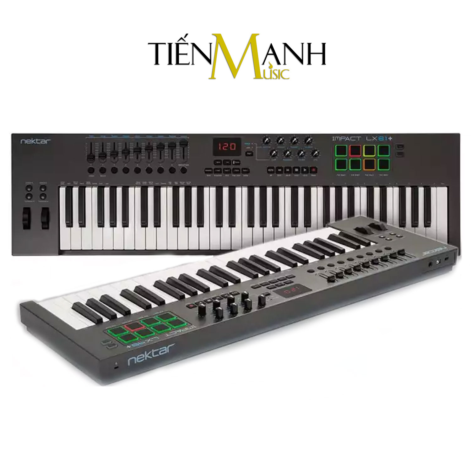 Nektar LX61+ Midi Keyboard Controller 61 Phím Cảm ứng lực Bàn phím sáng tác - Sản xuất âm nhạc Producer LX61 Hàng Chính Hãng - Kèm Móng Gẩy DreamMaker