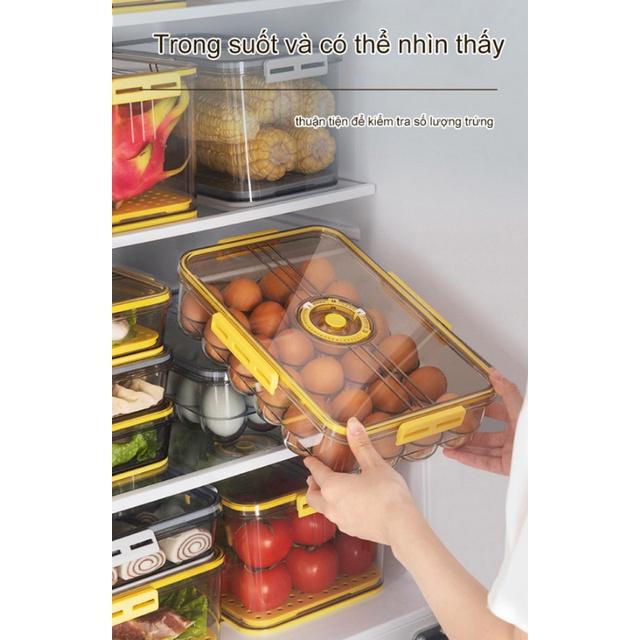 Hộp bảo quản trứng 24 ngăn Fresh&Dial nắp kín