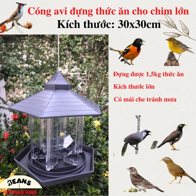 Cóng avi đựng thức ăn cho chim size lớn 30x30cm dành cho chim chích chòe, chào mào, sơn ca, họa mi, khướu