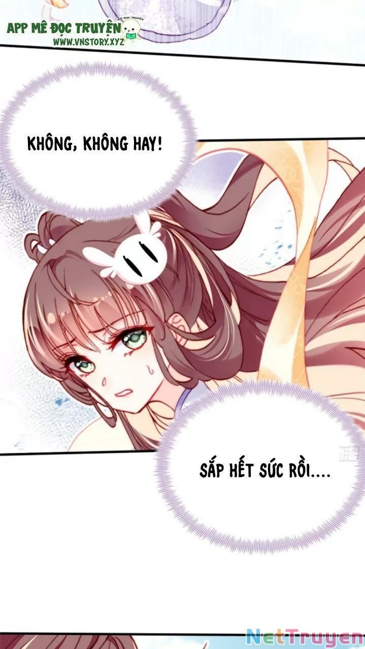 lại bị bệnh chiều chuộng quấn lấy chapter 24 47